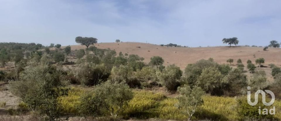 Agricultural land in Mértola of 230,000 m²