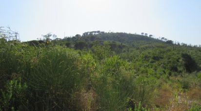 Land in Condeixa-a-Velha e Condeixa-a-Nova of 63,330 m²