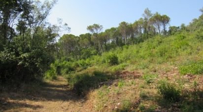 Land in Condeixa-a-Velha e Condeixa-a-Nova of 63,330 m²