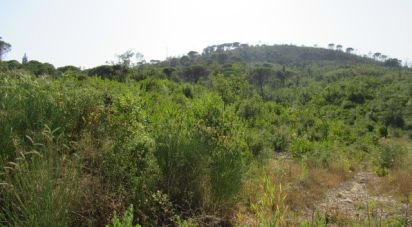 Land in Condeixa-a-Velha e Condeixa-a-Nova of 63,330 m²