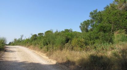 Terrain à Condeixa-a-Velha e Condeixa-a-Nova de 63 330 m²