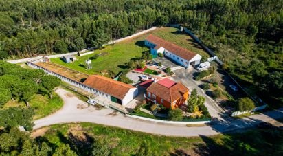 Farm T3 in Alcobertas of 255 m²