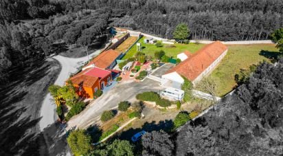 Farm T3 in Alcobertas of 255 m²