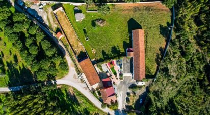 Farm T3 in Alcobertas of 255 m²
