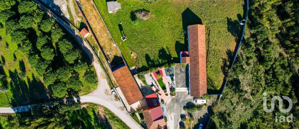 Farm T3 in Alcobertas of 255 m²