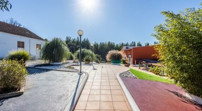 Farm T3 in Alcobertas of 255 m²