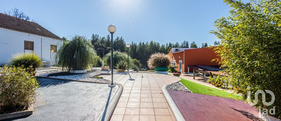 Farm T3 in Alcobertas of 255 m²