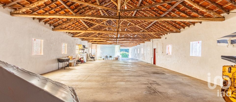 Farm T3 in Alcobertas of 255 m²