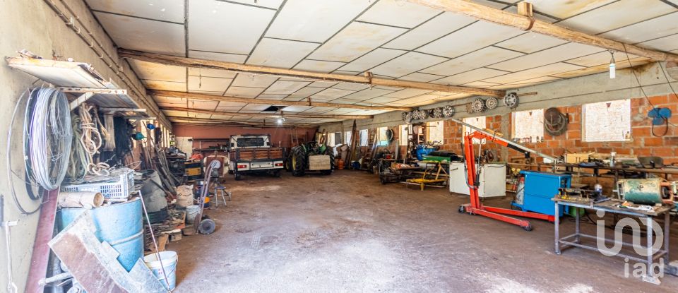 Farm T3 in Alcobertas of 255 m²