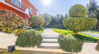 Farm T3 in Alcobertas of 255 m²