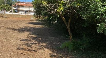 Building land in São Paio de Oleiros of 3,055 m²