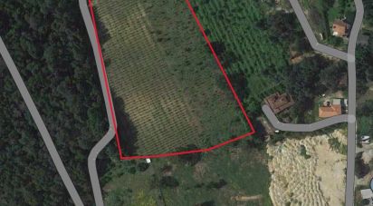 Terrain à Mazedo e Cortes de 22 000 m²