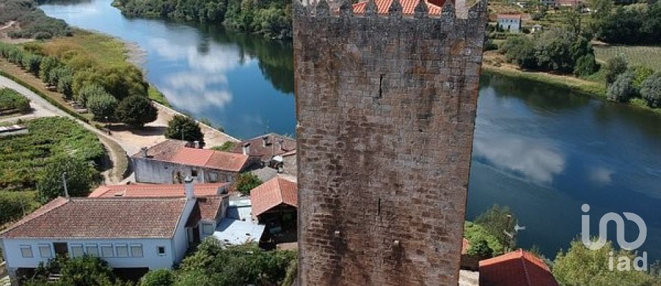 Terreno em Mazedo e Cortes de 22 000 m²
