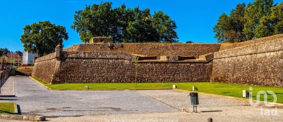 Terreno em Mazedo e Cortes de 22 000 m²