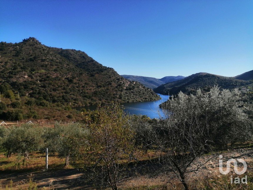 Terrain à Freixo de Espada à Cinta e Mazouco de 7 200 m²