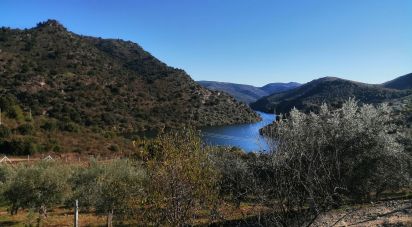 Terrain à Freixo de Espada à Cinta e Mazouco de 7 200 m²
