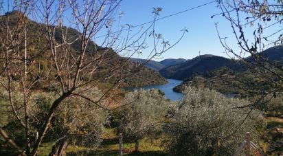 Terrain à Freixo de Espada à Cinta e Mazouco de 7 200 m²