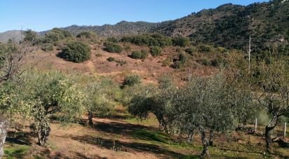 Terrain à Freixo de Espada à Cinta e Mazouco de 7 200 m²