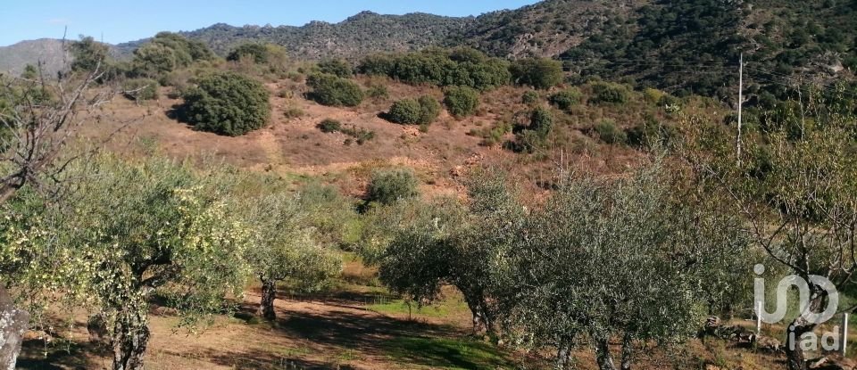 Terrain à Freixo de Espada à Cinta e Mazouco de 7 200 m²