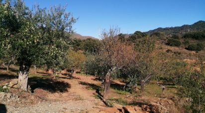 Terrain à Freixo de Espada à Cinta e Mazouco de 7 200 m²