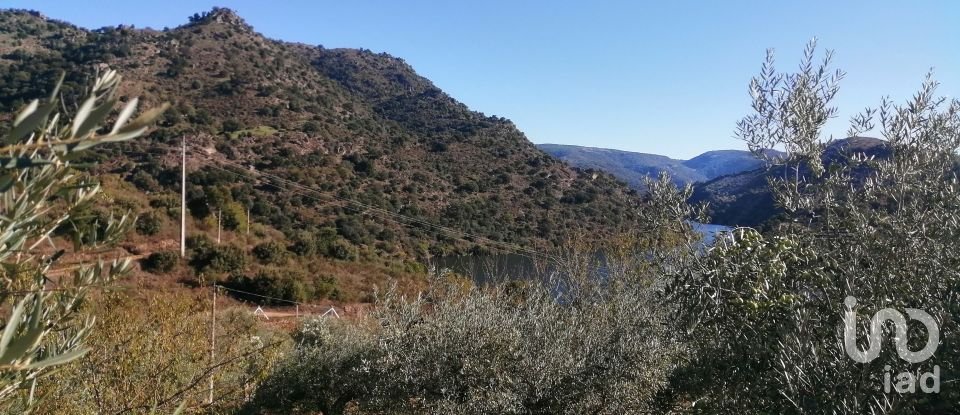 Terrain à Freixo de Espada à Cinta e Mazouco de 7 200 m²