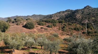 Terrain à Freixo de Espada à Cinta e Mazouco de 7 200 m²