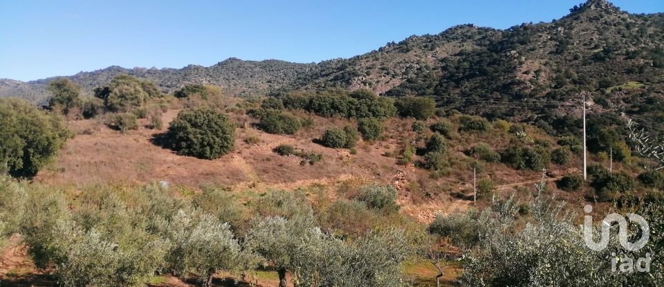 Terrain à Freixo de Espada à Cinta e Mazouco de 7 200 m²