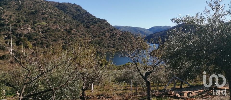 Terrain à Freixo de Espada à Cinta e Mazouco de 7 200 m²