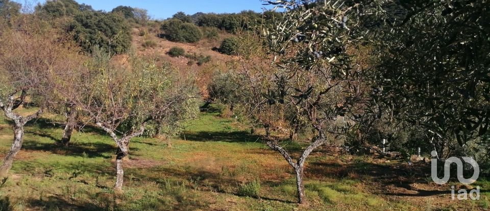 Terrain à Freixo de Espada à Cinta e Mazouco de 7 200 m²