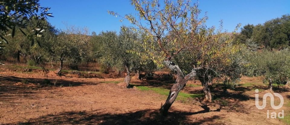 Terrain à Freixo de Espada à Cinta e Mazouco de 7 200 m²