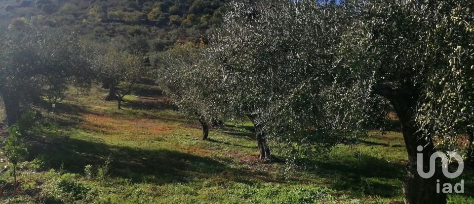 Terrain à Freixo de Espada à Cinta e Mazouco de 7 200 m²