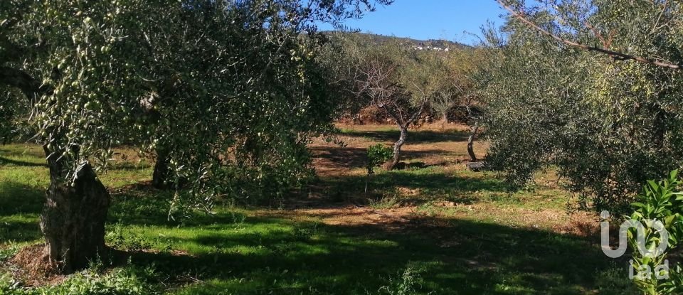 Terrain à Freixo de Espada à Cinta e Mazouco de 7 200 m²