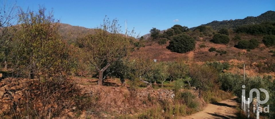 Terrain à Freixo de Espada à Cinta e Mazouco de 7 200 m²