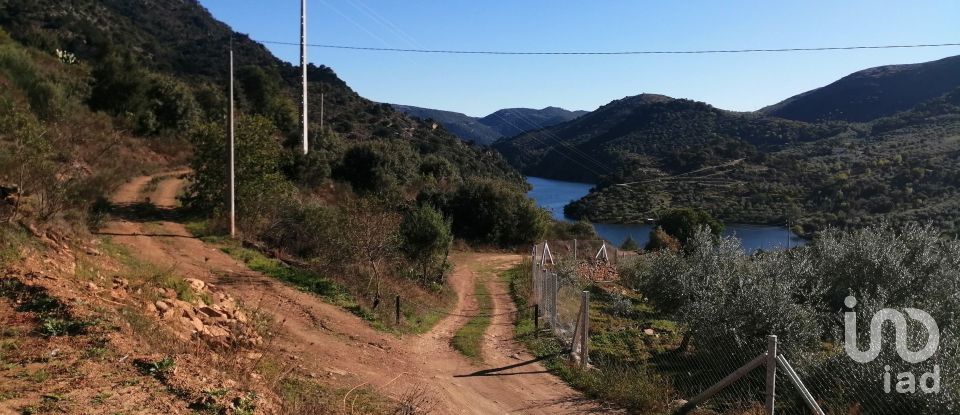 Terrain à Freixo de Espada à Cinta e Mazouco de 7 200 m²