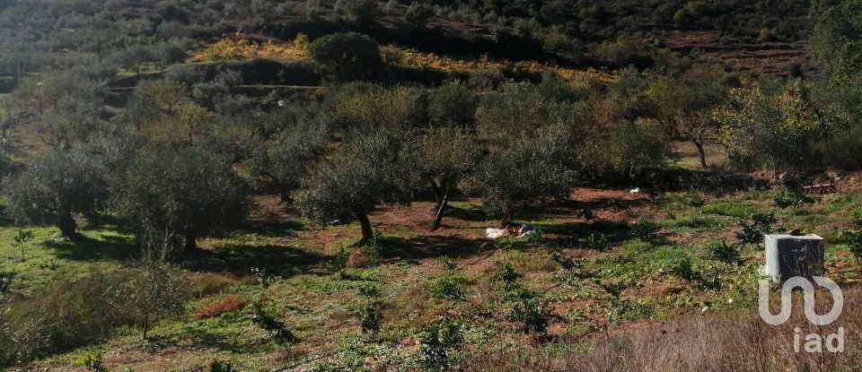 Terrain à Freixo de Espada à Cinta e Mazouco de 7 200 m²