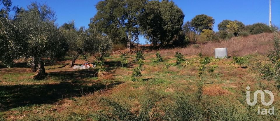 Terrain à Freixo de Espada à Cinta e Mazouco de 7 200 m²