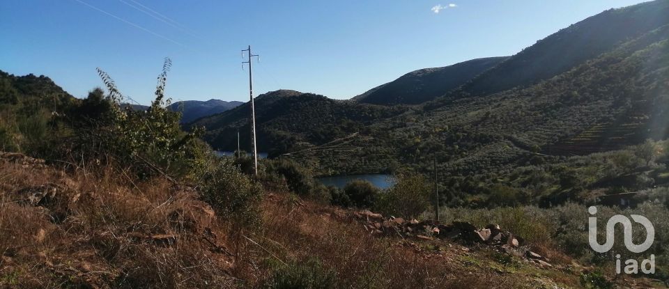 Terrain à Freixo de Espada à Cinta e Mazouco de 7 200 m²