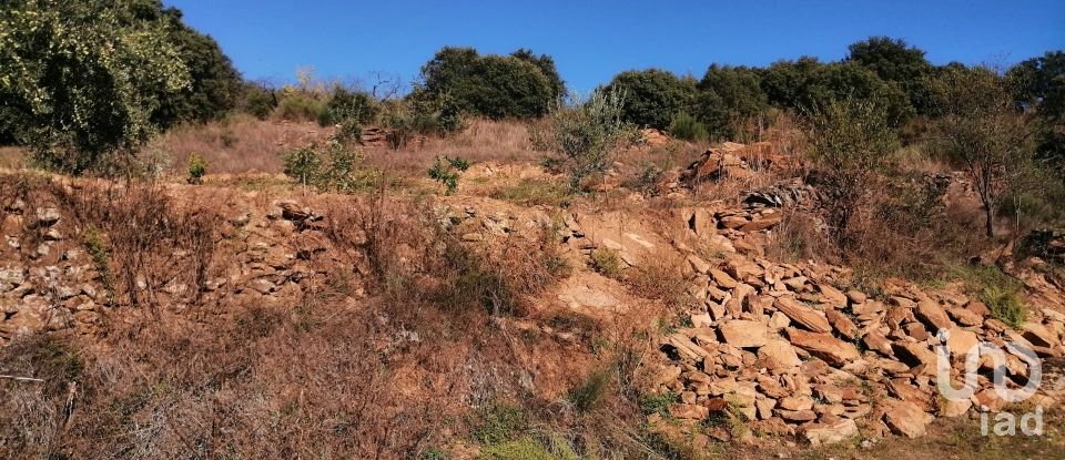 Terrain à Freixo de Espada à Cinta e Mazouco de 7 200 m²
