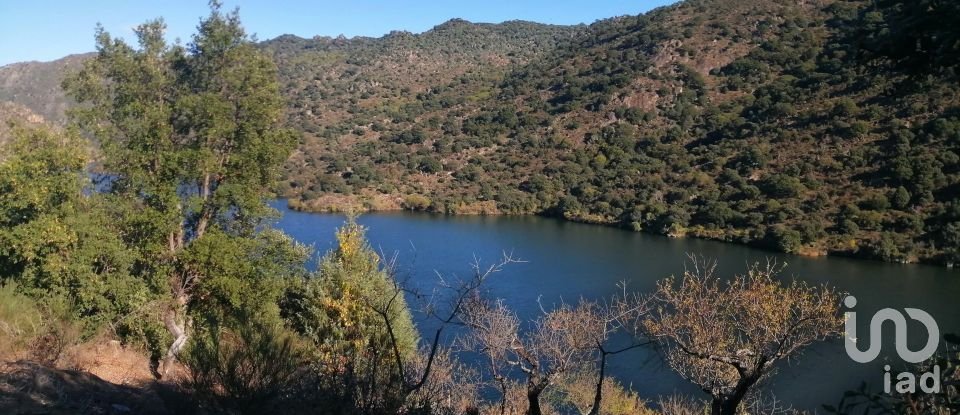 Terrain à Freixo de Espada à Cinta e Mazouco de 7 200 m²