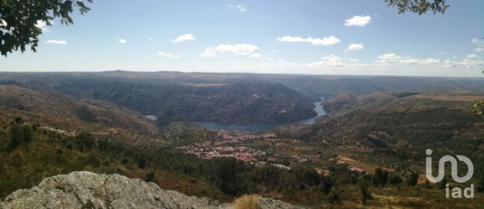 Terrain à Freixo de Espada à Cinta e Mazouco de 7 200 m²