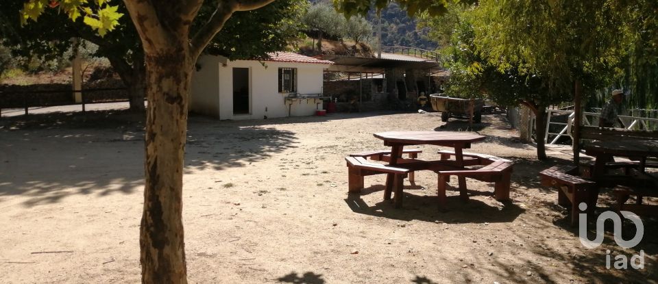 Terrain à Freixo de Espada à Cinta e Mazouco de 7 200 m²