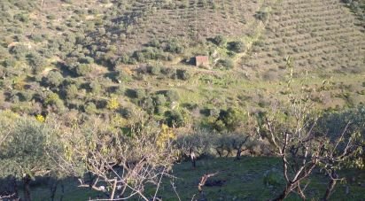 Ferme T0 à Poiares de 12 000 m²