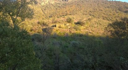 Ferme T0 à Poiares de 12 000 m²