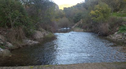 Ferme T0 à Poiares de 12 000 m²