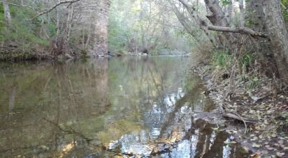 Ferme T0 à Poiares de 12 000 m²