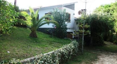 Traditional house T2 in Serra e Junceira of 160 m²