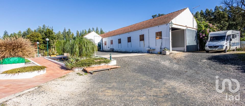 Farm T3 in Alcobertas of 255 m²