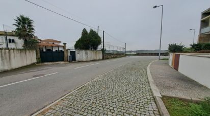 Terrain à Vila nova da telha de 264 m²