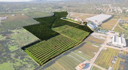 Ferme T7 à Quelfes de 102 150 m²