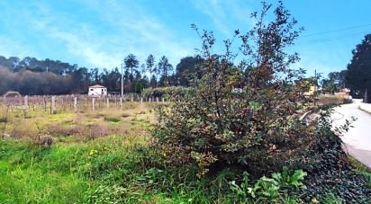 Terrain à Pinheiros de 3 066 m²